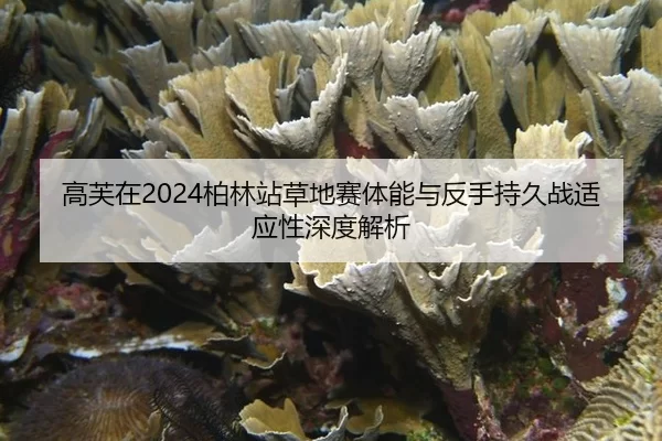 高芙在2024柏林站草地赛体能与反手持久战适应性深度解析